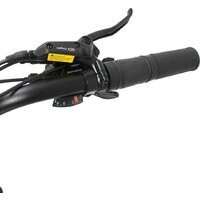 Smart Balance Hunter 2024 (золотистый, разобранный) Image #11