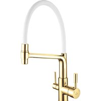 Rose R658E