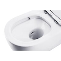 Roxen Porto в комплекте с инсталляцией StounFix Dual Fresh 6 в 1 868500 (кнопка: черный матовая) Image #14