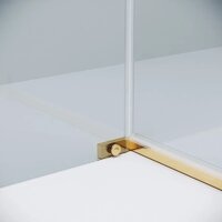 Grossman Pragma 100x80x195 120.K33.03.1080.32.00 (золото сатин/стекло прозрачное) Image #5