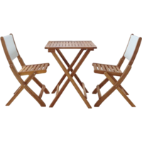 National Tree Company из акации / TP2103.0.3 (3 предмета)