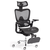 TetChair Sakura (сетка, черный) Image #2