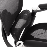 TetChair Sakura (сетка, черный) Image #13