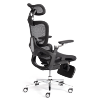 TetChair Sakura (сетка, черный) Image #6