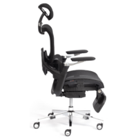 TetChair Sakura (сетка, черный) Image #4