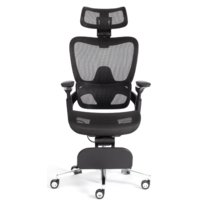 TetChair Sakura (сетка, черный) Image #8