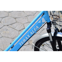 Terax Alfa NS008 голубой Image #14