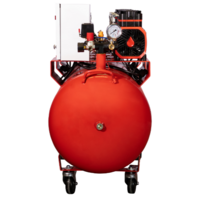 Aurora PASSAT-250/1250 MODULE 4G / 39400 Image #4