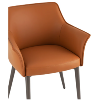 Stool Group Feston / LS910S1-AG Lixiang-19 (коричневый) Image #5