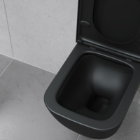 Lauter Nuremberg 21811B (черный) Image #7