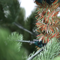 GrandSiti Венеция премиум 240 / 101-115 Image #8