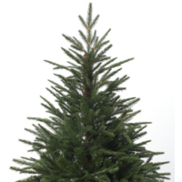 GrandSiti Венеция премиум 240 / 101-115 Image #2