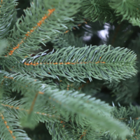 GrandSiti Венеция премиум 240 / 101-115 Image #7