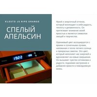 Klesto Smart JS1 (спелый апельсин) Image #3