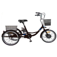 MyWay Trike 350 Max 24 (15, черный)