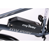 MyWay Let 1.0 350 Max 26 (19, графитовый) Image #12