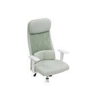 Woodville Salta / 15396 (light green/white) Image #6