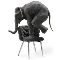 Woodville Rendi / 15760 (gray-blue/black) Image #10