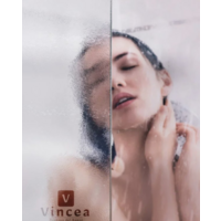 Vincea Garda VSR-1G1015CH Image #4