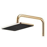 Rea Rob gold P6625 Image #6
