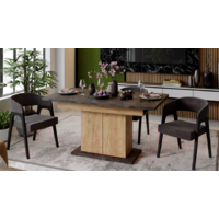 Трия Детройт тип 1 (дуб крафт золотой/ателье темное) Image #10