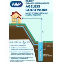 A&P Ageless-3-2100/43-2/15 / AP01B03 Image #7