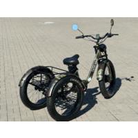 Smart Balance Tank Trike 2025 (камуфляж) Image #3