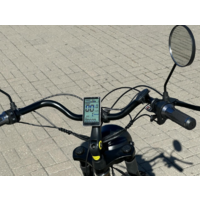 Smart Balance Tank Trike 2025 (камуфляж) Image #7