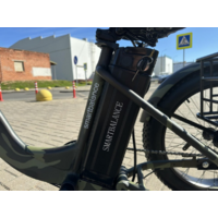 Smart Balance Tank Trike 2025 (камуфляж) Image #4