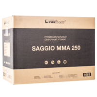 FoxWeld SAGGIO MMA 250 / 6668 Image #10