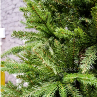 GrandSiti Тоскана 240 / 101-085 Image #3