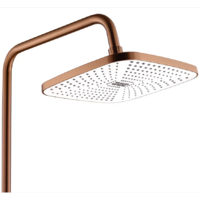 Rea Storm copper brush P3000 Image #3