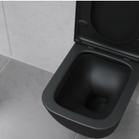 Lauter Nuremberg 21811B + 21901002 (черный, с кнопкой 219702F белый) Image #10