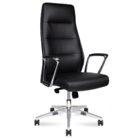 Norden Nancy Black Leather / L348HCA-01-black (алюминиевая база/кожа, черный) Image #1