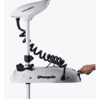 Haiboi Penguin P65 12V Image #2