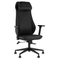 TopChairs Trophey DD-001 (черный)