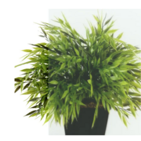 Triton Терра-Хром 120х90 (без поддона) Image #6