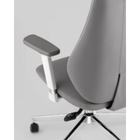 TopChairs Trophey DD-001-CH (серый) Image #6