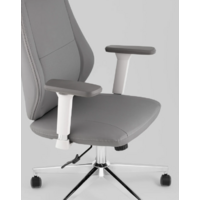 TopChairs Trophey DD-001-CH (серый) Image #7