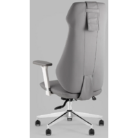 TopChairs Trophey DD-001-CH (серый) Image #3