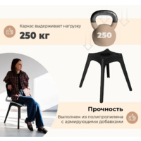 Sheffilton SHT-ST43-2/S195 (какао/ванильный крем/черный) Image #7