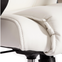 TetChair Bergamo кожзам (хром/белый 36-01) Image #7