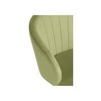 Woodville Тибо / 464234 (confetti green) Image #8