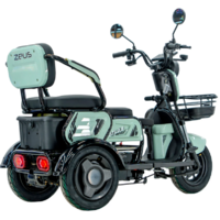 ZeuS Atlas (зеленый) Image #5