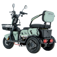 ZeuS Atlas (зеленый) Image #6