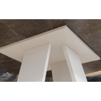 Трия Райнер Тип 1 (белый/ателье темный) Image #10