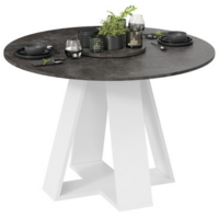 Трия Райнер Тип 1 (белый/ателье темный)