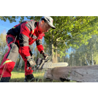 ZimAni MS250 PRO 16" Image #6