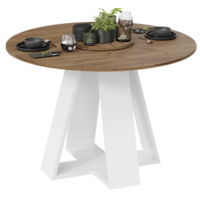 Трия Райнер Тип 1 (белый/дуб крафт золотой)