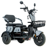 ZeuS Atlas (серый) Image #2